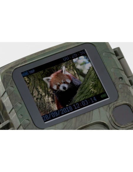 Camera Wild 1080P 12MP IP56 PIR IR 18m per Osservazione Fauna, TX-117